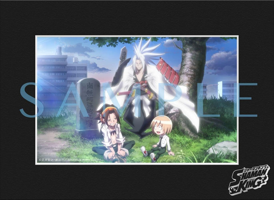 Shaman King Blu-ray Box 1 Limited Edition Blu-ray + 2CD - product image 2