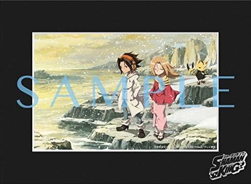 SHAMAN KING Blu-ray Box 3 Limited Production Edition - product image 2