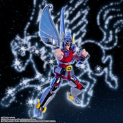 Saint Cloth Series Saint Seiya Pegasus Cloth Action Figure - product view 7