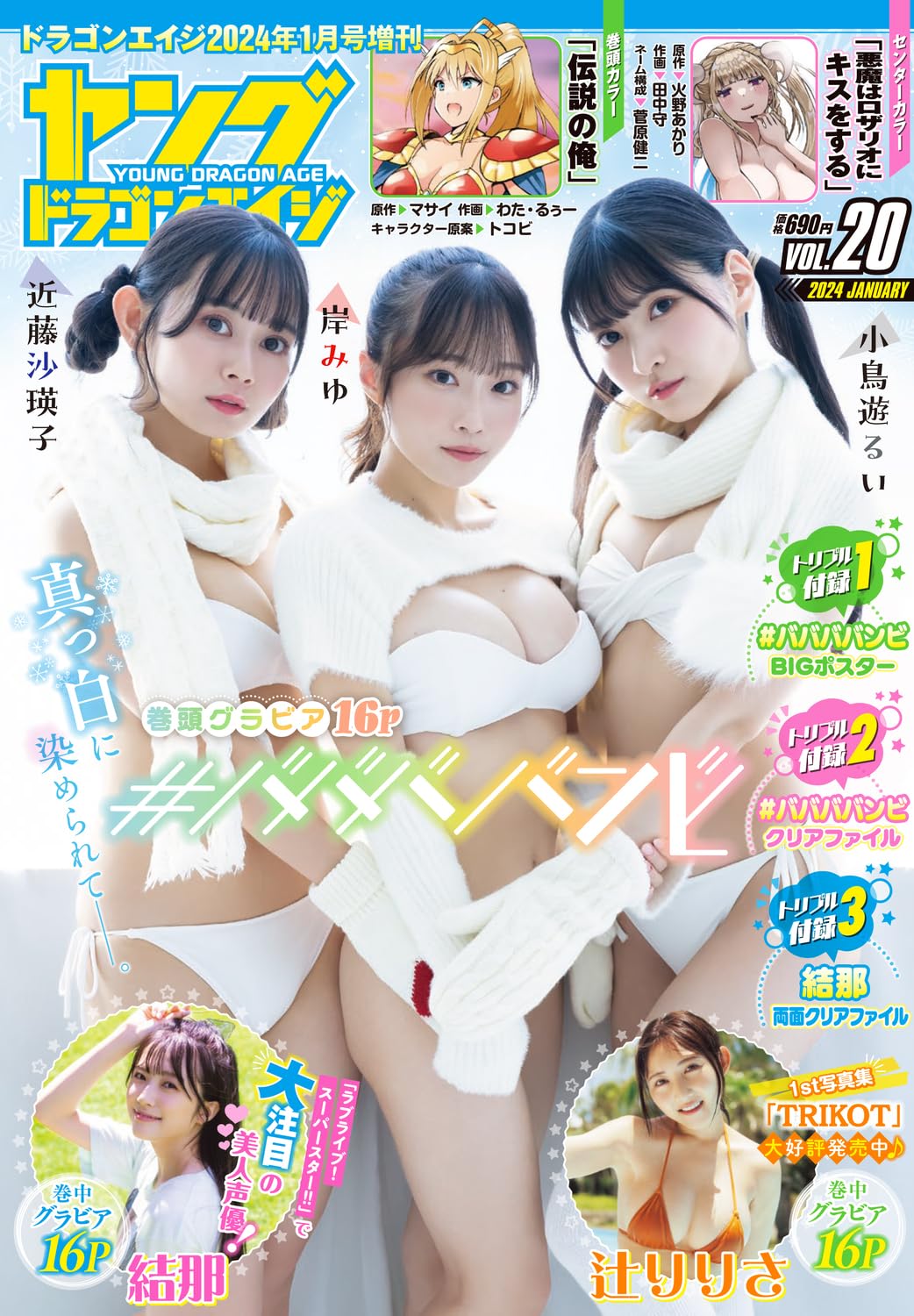 Young Dragon Age Vol.20 January 2024 magazine cover