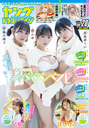 Young Dragon Age Vol.20 January 2024 magazine cover