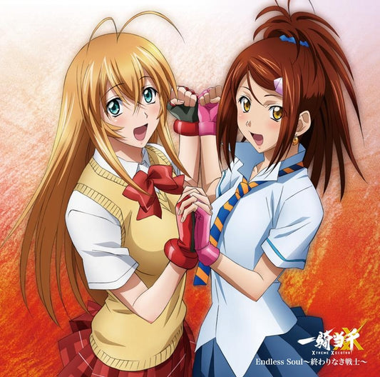 Ikki Tousen Endless Soul Owarinaki Senshi CD - front cover