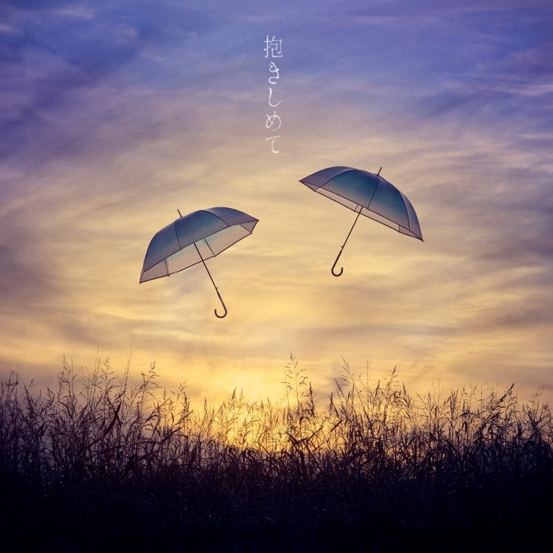 Maaya Sakamoto Dakishimete Standard Edition CD - jacket artwork 1