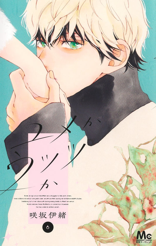 Margaret Comics Daydream Darling Vol. 6 - Shueisha Japanese edition, cover