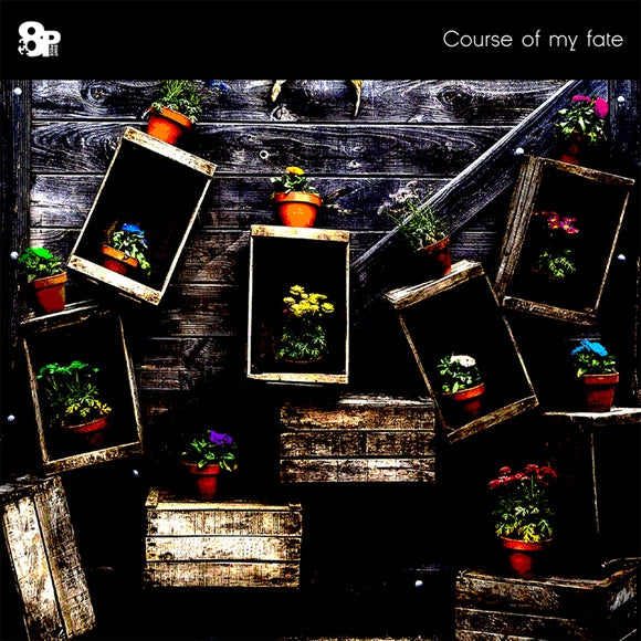Paradigm Paradox Course of my fate by 8P CD - jacket artwork 1
