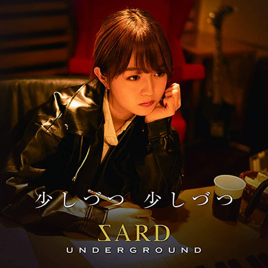 SARD UNDERGROUND Sukoshizutsu Sukoshizutsu Standard CD - front cover