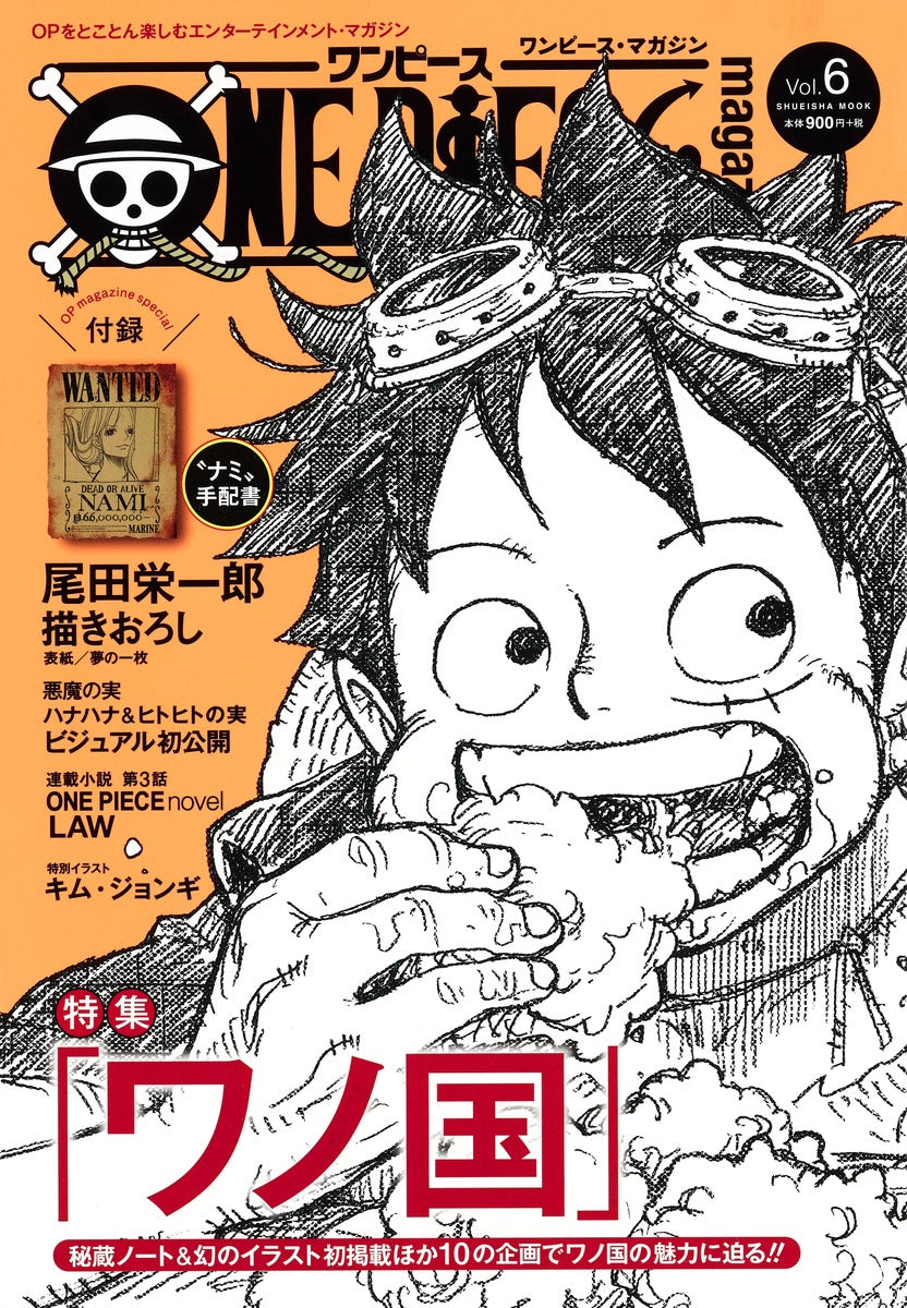 Shueisha Mook ONE PIECE Magazine Vol. 6 - Shueisha Japanese edition, cover
