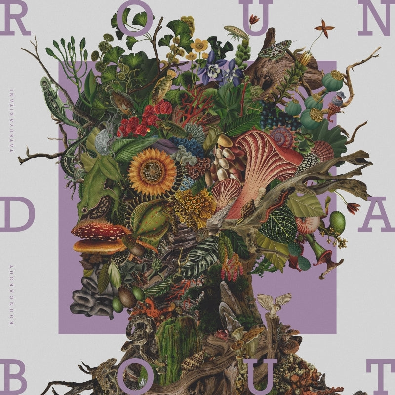 Tatsuya Kitani Roundabout Standard Edition CD cover