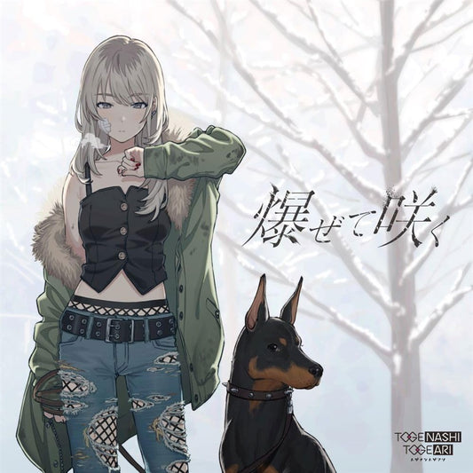 Togenashi Togeari Hazete Saku CD + DVD - front cover