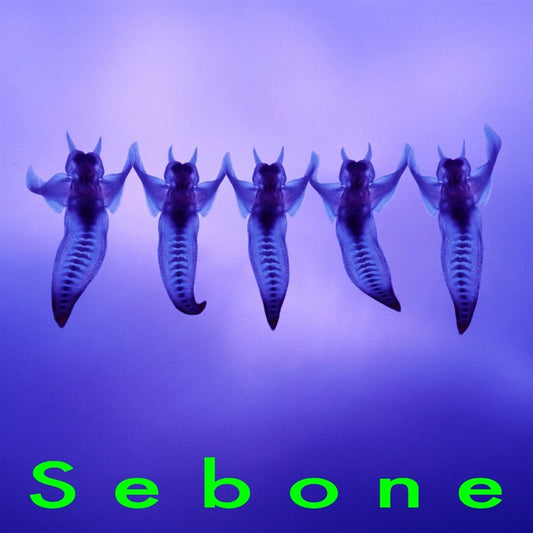 Tota Sebone Sekizui Edition CD cover