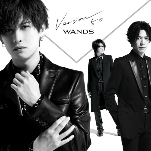 WANDS Version 5.0 Standard Edition CD cover
