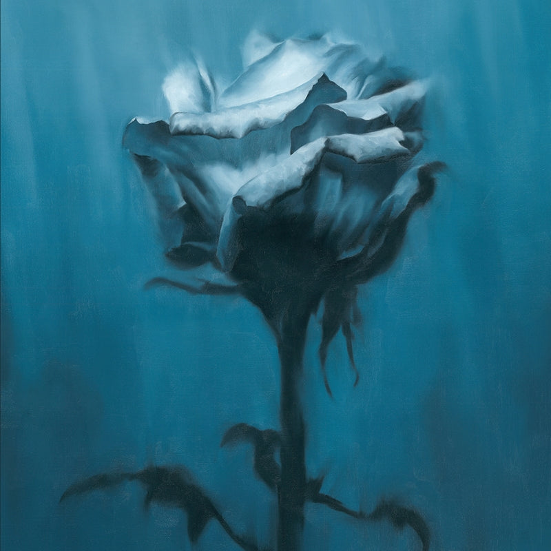 waterweed Deep inside + Unknown best CD cover