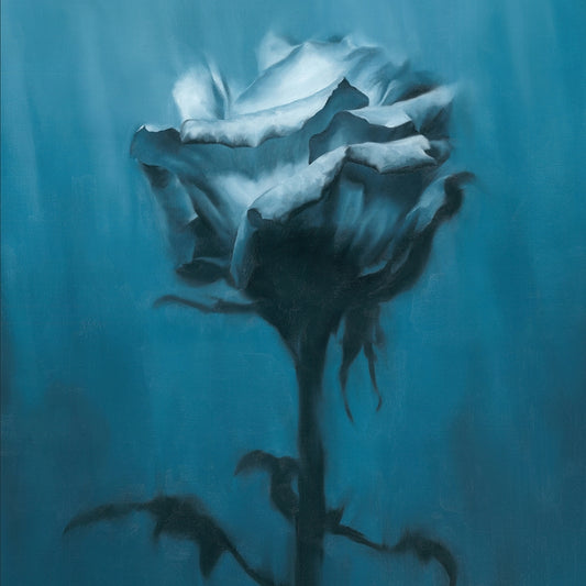 waterweed Deep inside + Unknown best CD cover